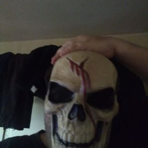 Meet your Posher, Donald